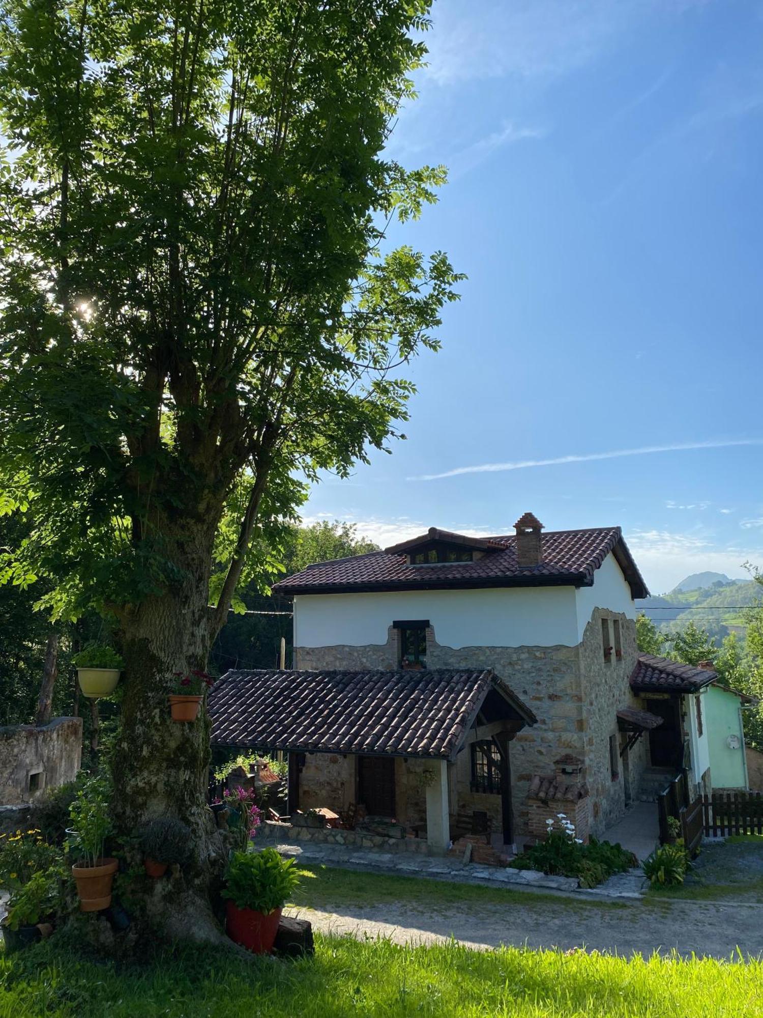 Apartamentos Rurales La Caviana Onís Екстериор снимка